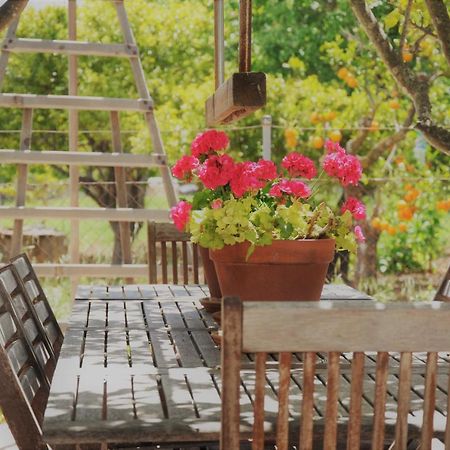קמפנט Ca'N Guiri, Eco Finca In Mallorca מראה חיצוני תמונה