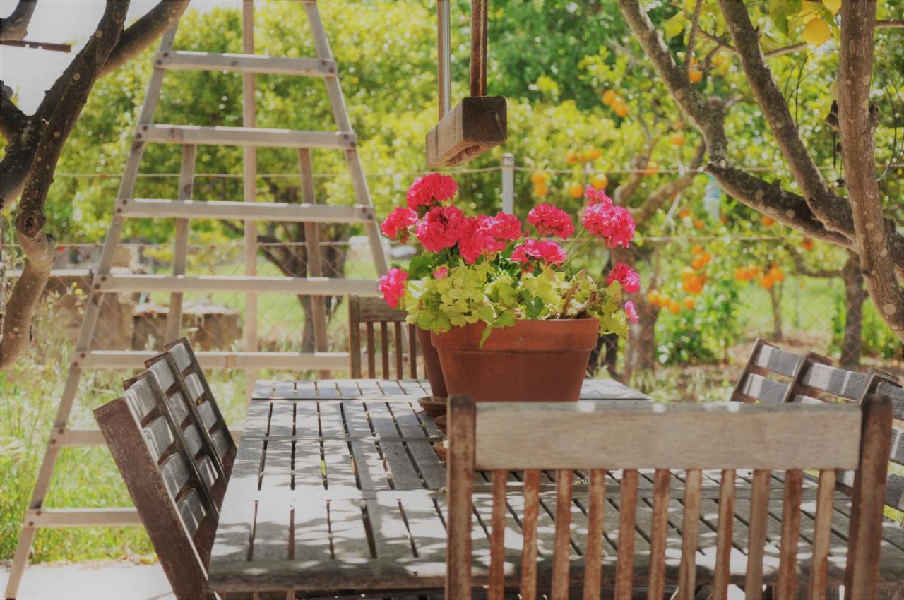 קמפנט Ca'N Guiri, Eco Finca In Mallorca מראה חיצוני תמונה