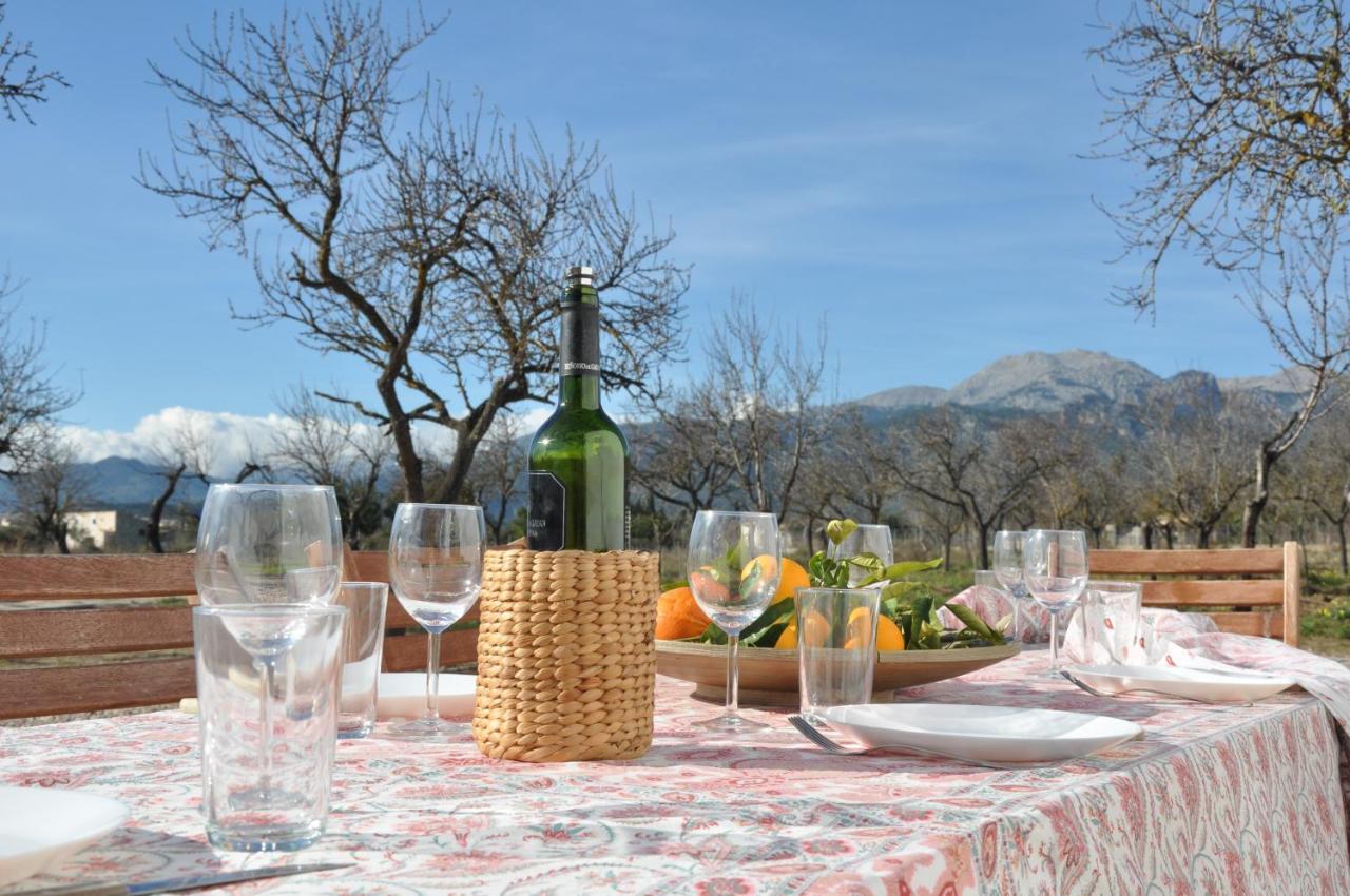 קמפנט Ca'N Guiri, Eco Finca In Mallorca מראה חיצוני תמונה